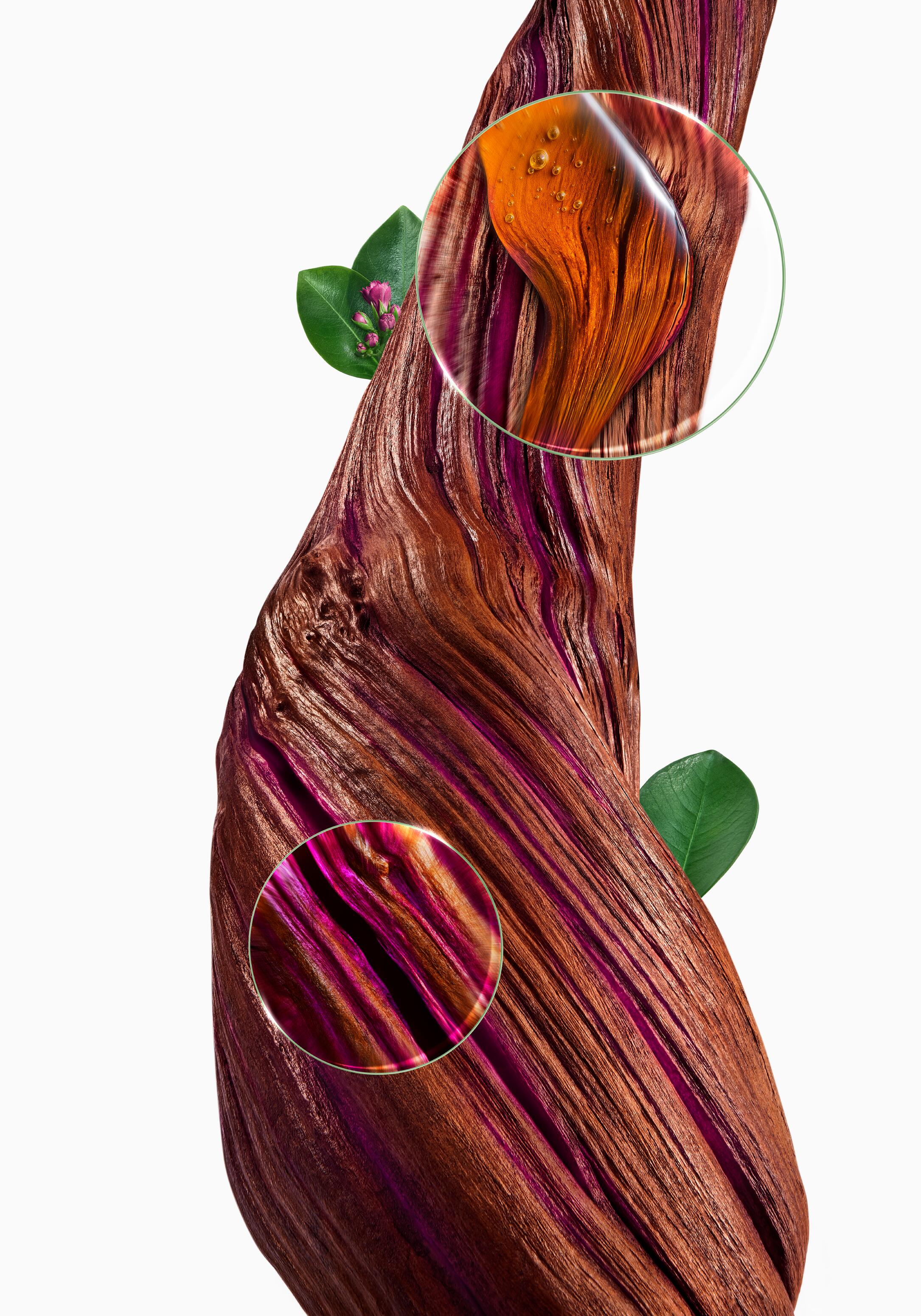 KL_QUININE _TREATMENT_STATIC_KV_WITH-MAGNIFYING-GLASS_MEDICINAL_PLANT_VERTICAL_3282771000428_2026-jpg